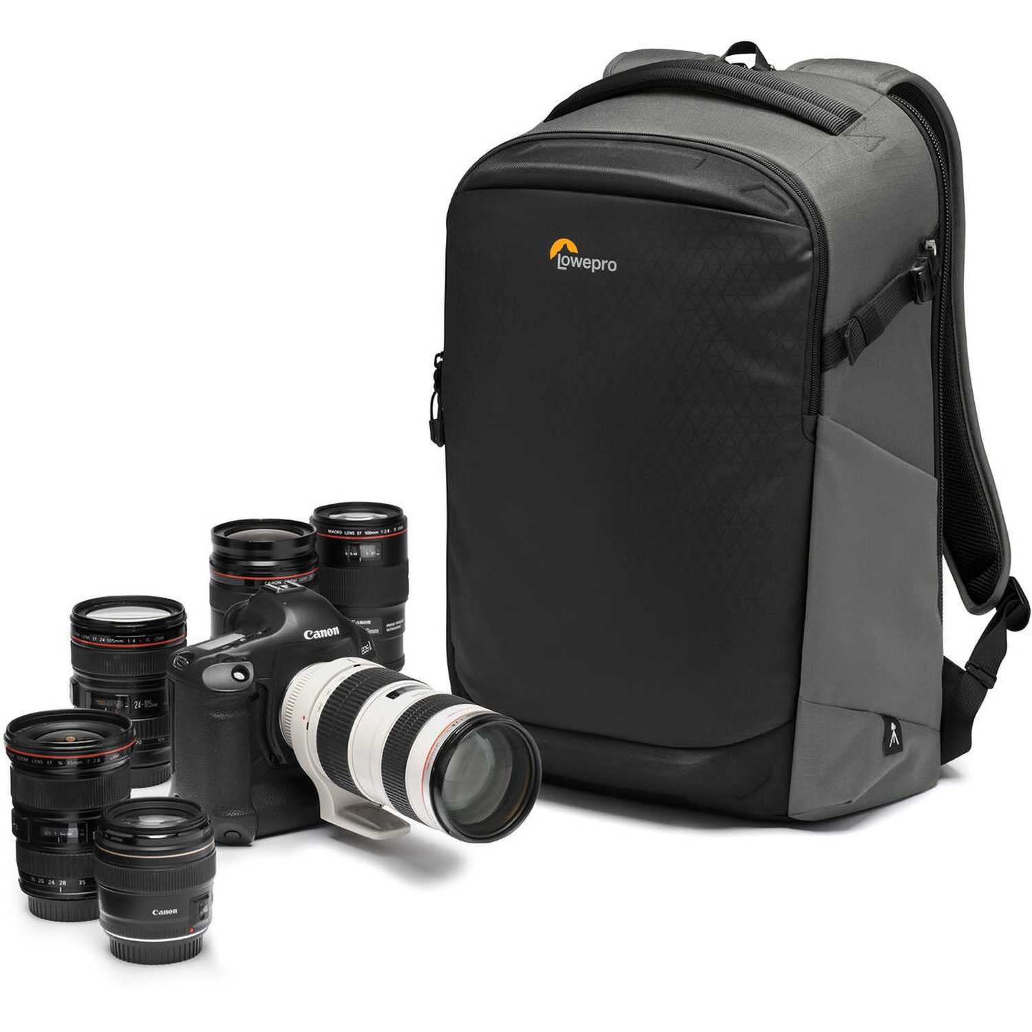 Photo of Lowepro Flipside 400 AW III