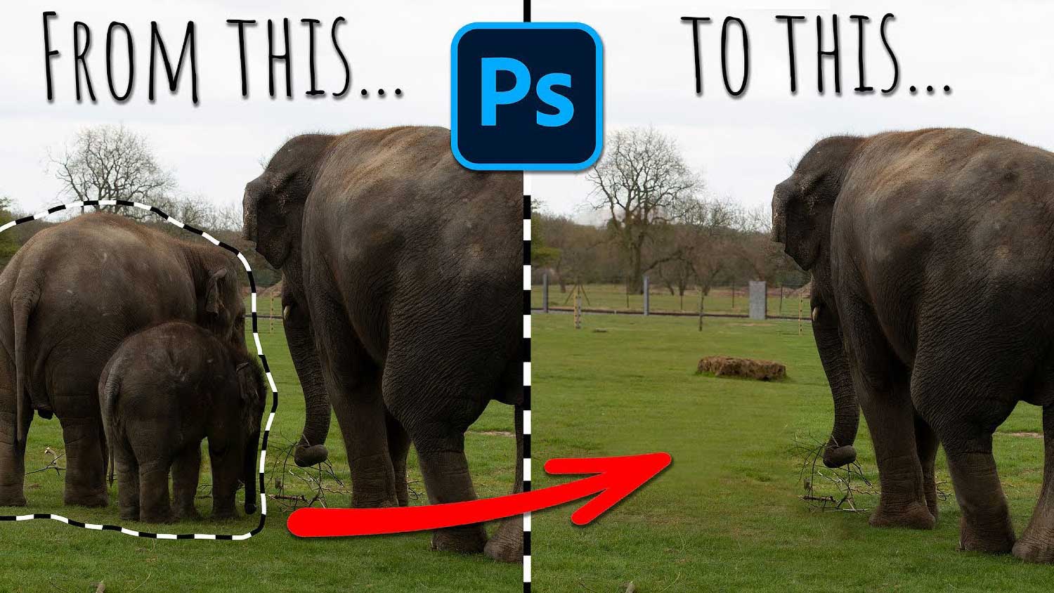 Photo of Photoshop tool